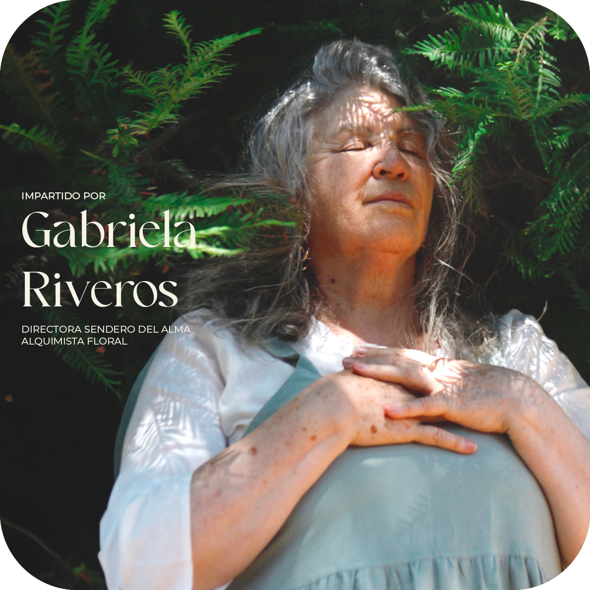 Challenge "Mi Raíz Familiar y Yo"