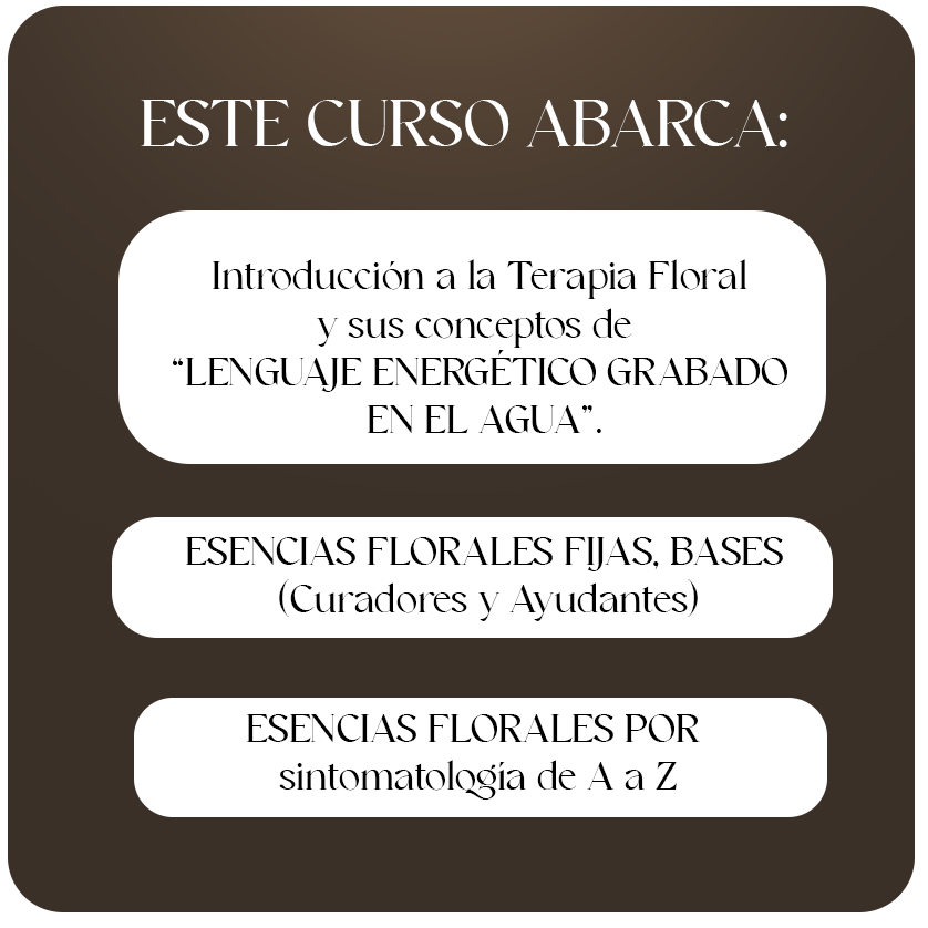 CURSO Vademecum "UNA BITACORA PARA EL TERAPEUTA FLORAL"