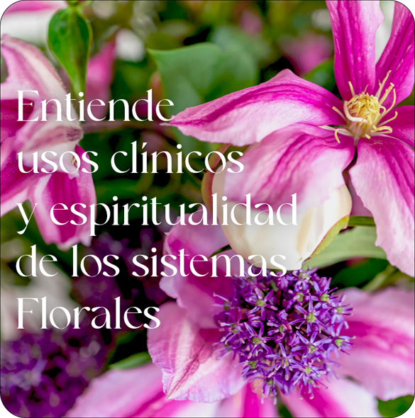 CURSO Vademecum "UNA BITACORA PARA EL TERAPEUTA FLORAL"
