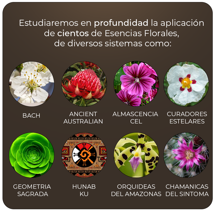 CURSO Vademecum "UNA BITACORA PARA EL TERAPEUTA FLORAL"