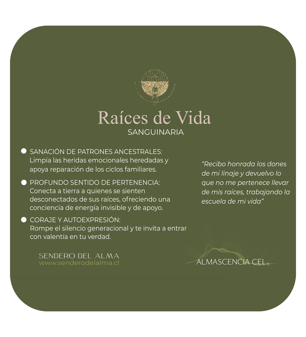 Challenge "Mi Raíz Familiar y Yo"