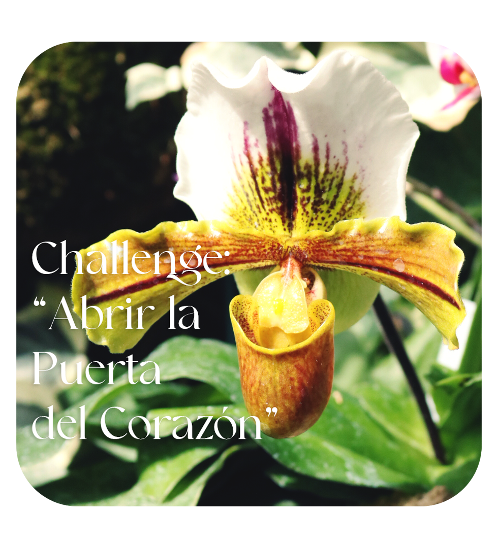 Challenge "Abrir la puerta del Corazón" LUZ