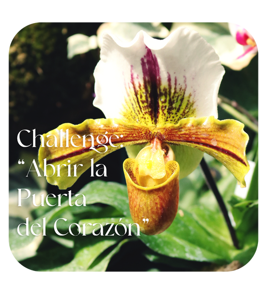 Challenge "Abrir la Puerta del Corazón"