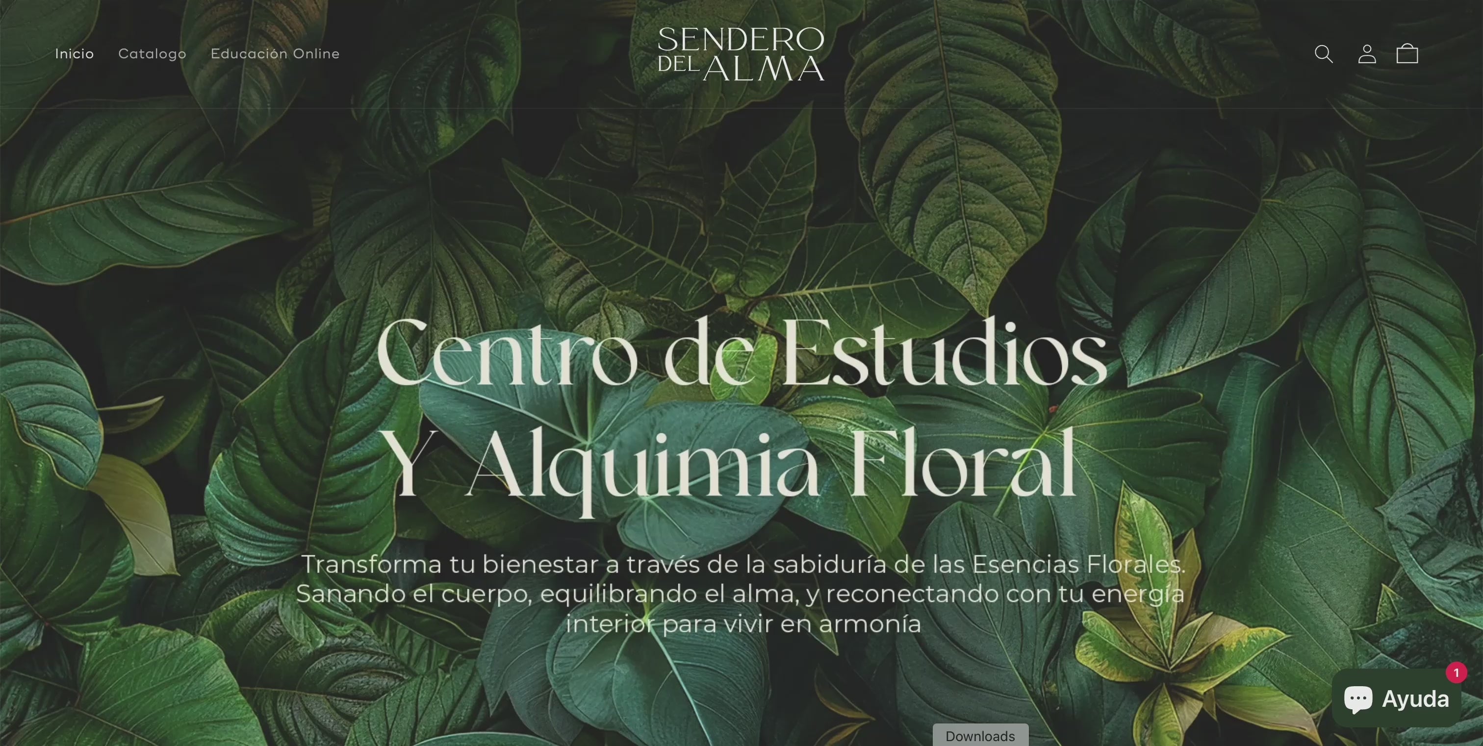 Cargar video: 